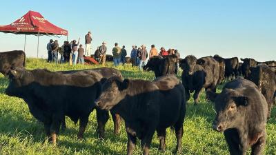 Grupo de produtores do Sindicato Rural de Laranjeiras do Sul realiza visitas técnicas em Guarapuava